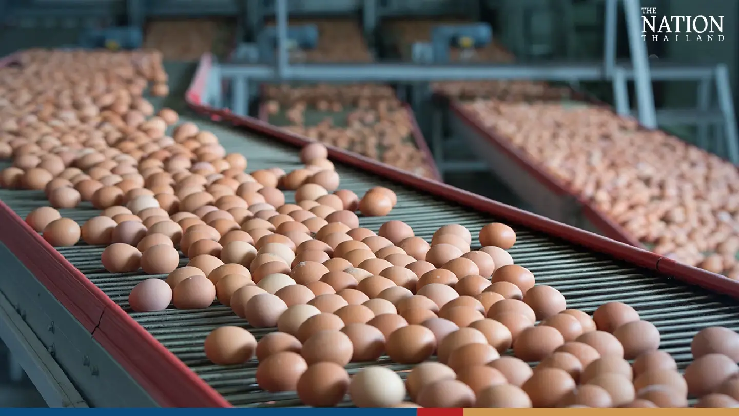 Thailand begins first-ever export of eggs to Malaysia