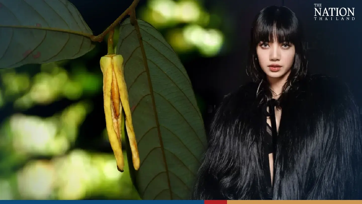 Critically endangered flowering plant named after Blackpink’s Lisa