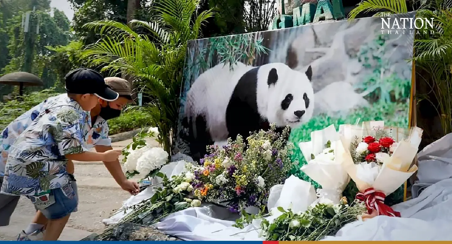 Chiang Mai Zoo officials bid tearful farewell to giant panda Lin Hui Chiang Mai Zoo officials bid tearful farewell to giant panda Lin Hui