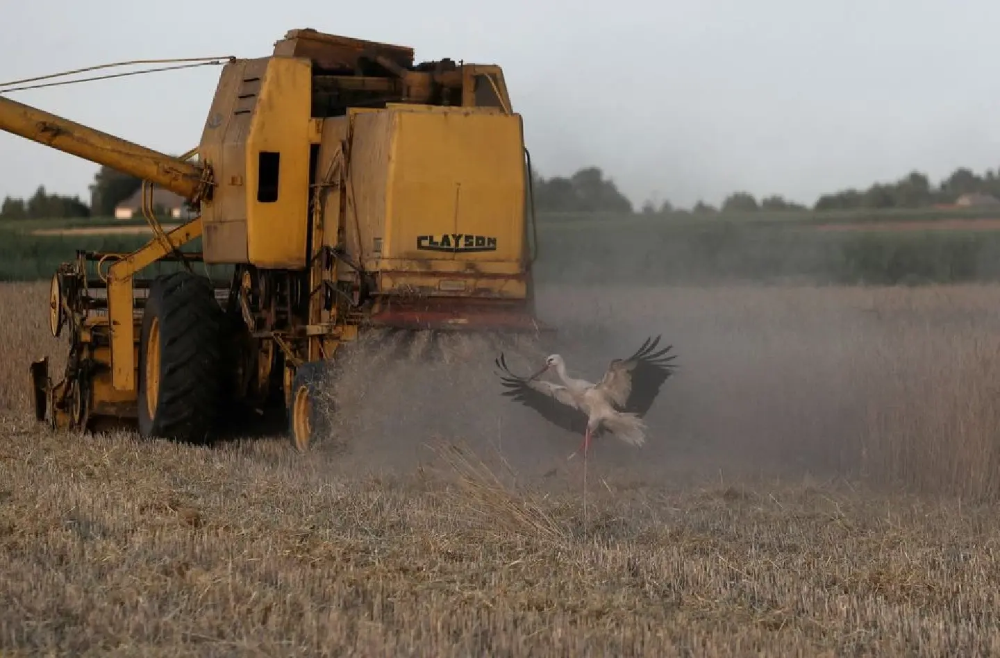 Ukraine and Poland agree on grain transit Ukraine and Poland agree on grain transit