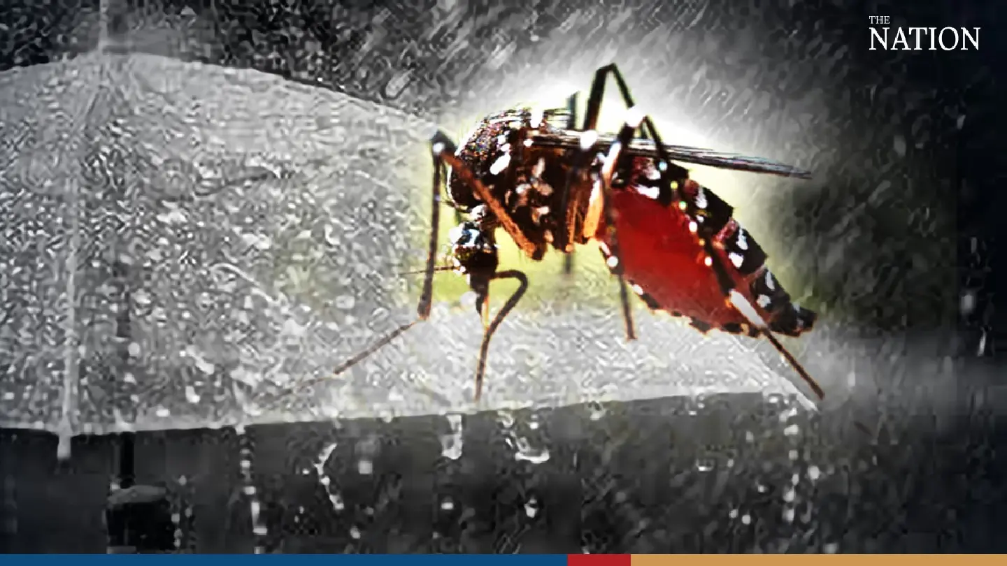 Dengue fever cases expected to soar as Thailand’s rainy season begins