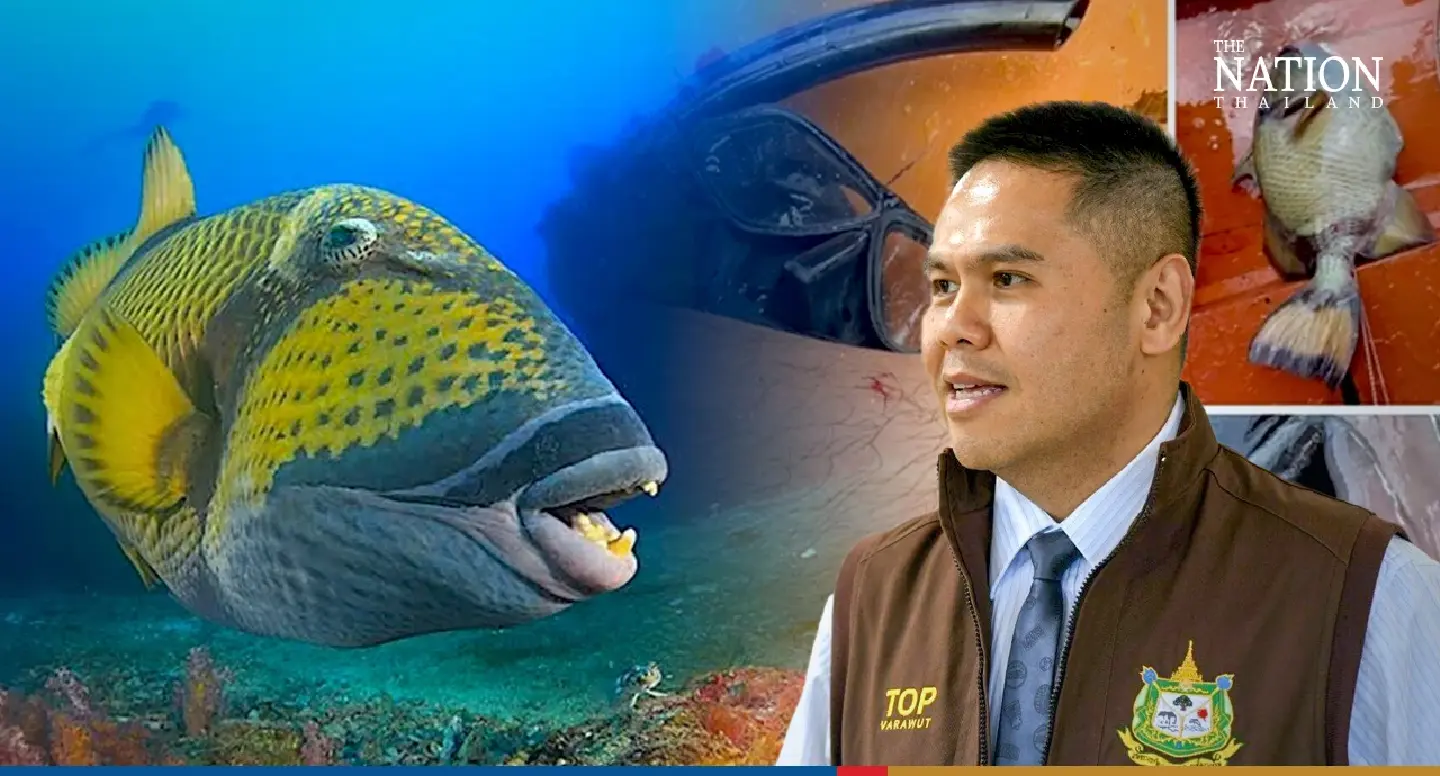 Diving instructor in hot water after hunting a triggerfish Diving instructor in hot water after hunting a triggerfish