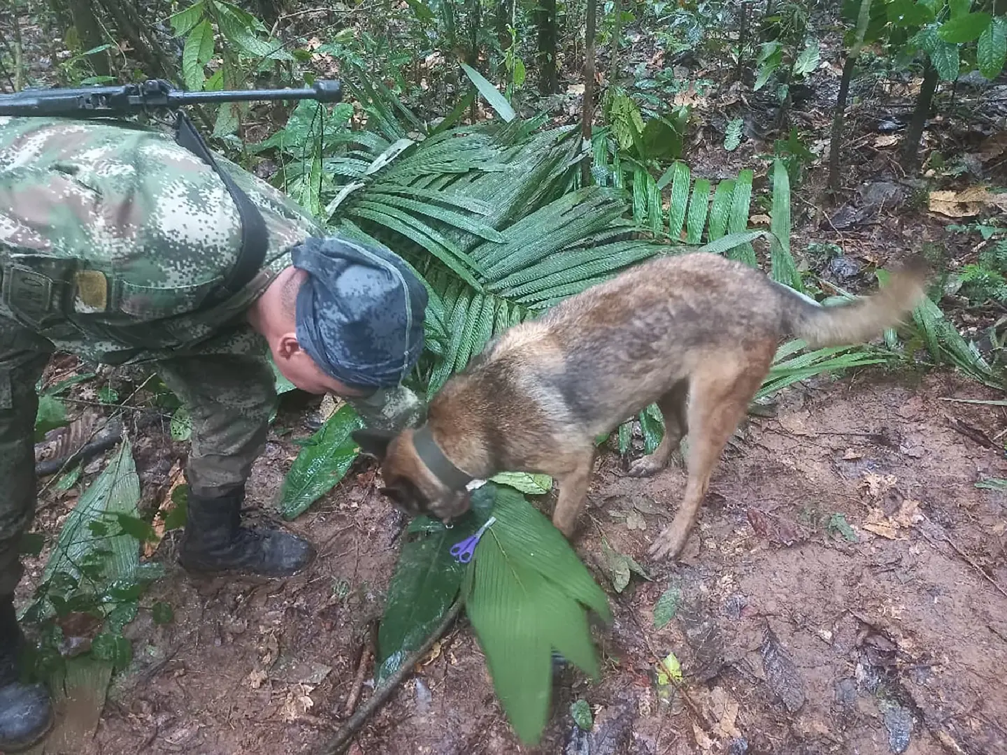 Colombian president deletes tweet, says missing children in jungle still missing