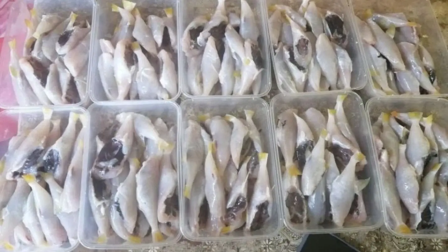 Malaysia’s Health department to act on pufferfish sale Malaysia’s Health department to act on pufferfish sale