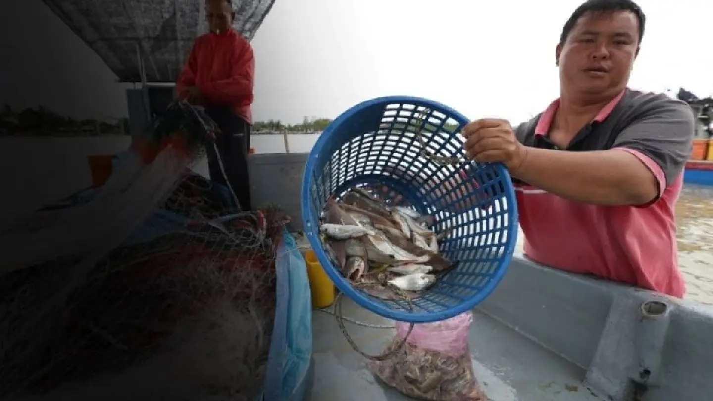 Ocean warming depleting fish, reducing size: Malaysian study