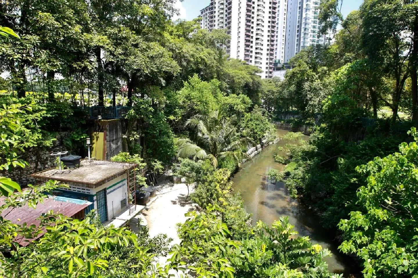 Malaysian father builds urban orchard sanctuary in KL to channel his grief Malaysian father builds urban orchard sanctuary in KL to channel his grief
