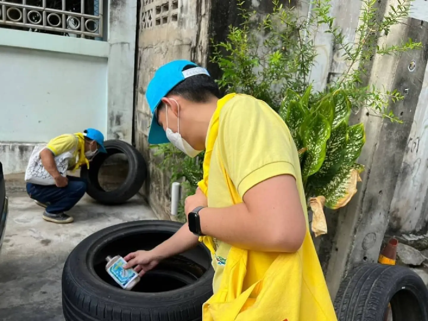Dengue campaign launched in metropolis