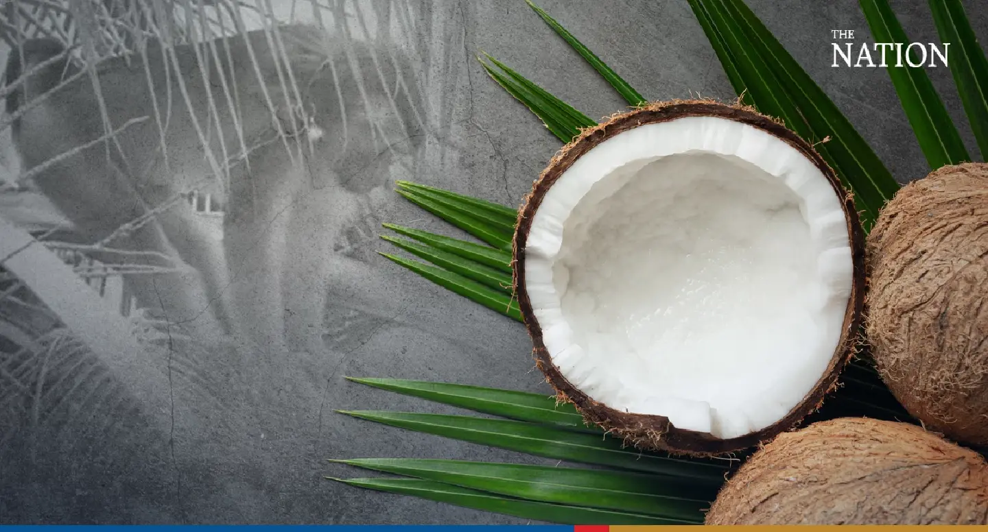 Govt told to stop monkeying around as coconut-boycott campaign stings