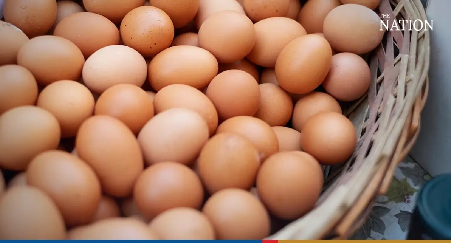 Volatile weather behind the rise in egg prices, says government spokesman
