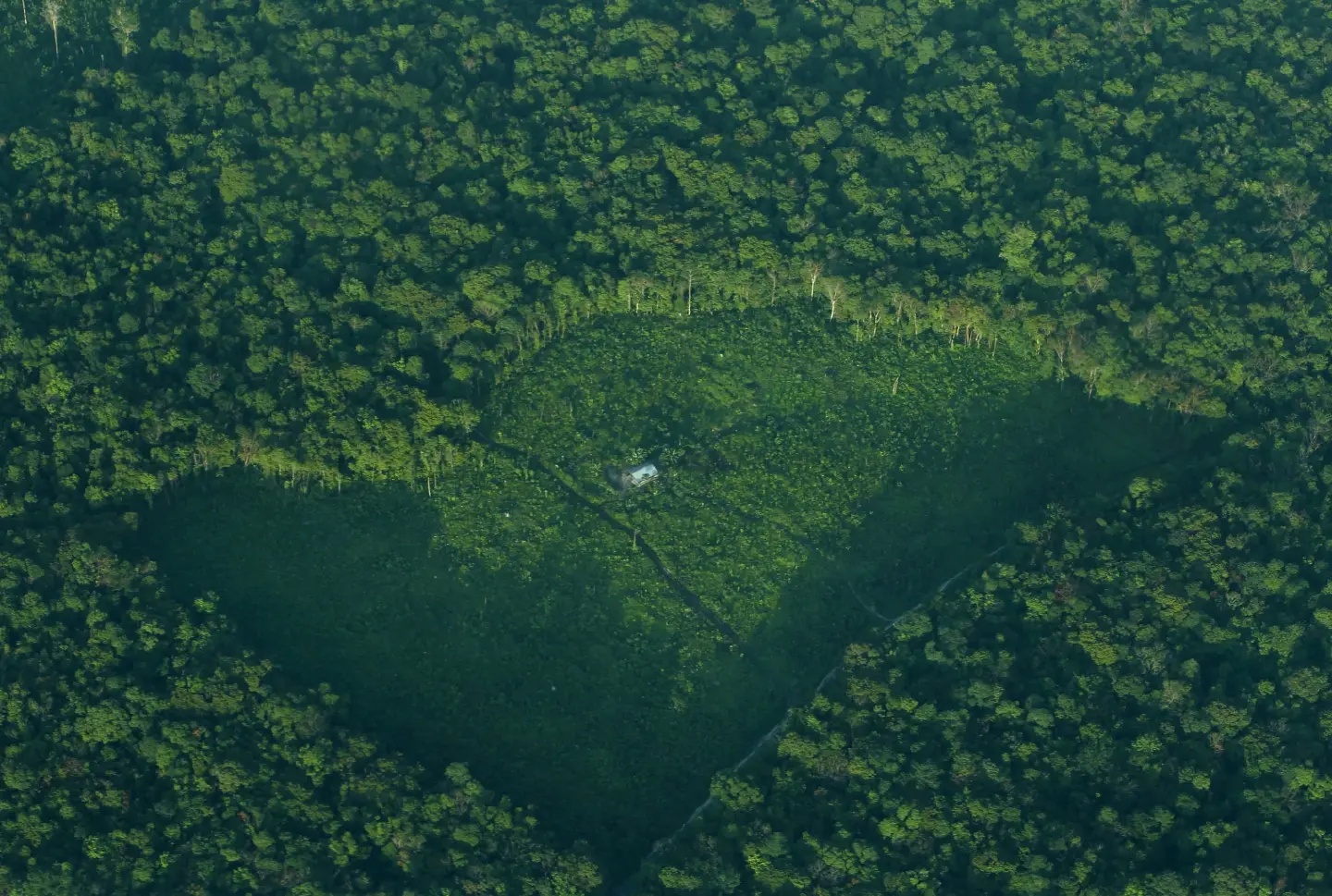 New programme set to boost forest conservation in Indo-Malaya subregion