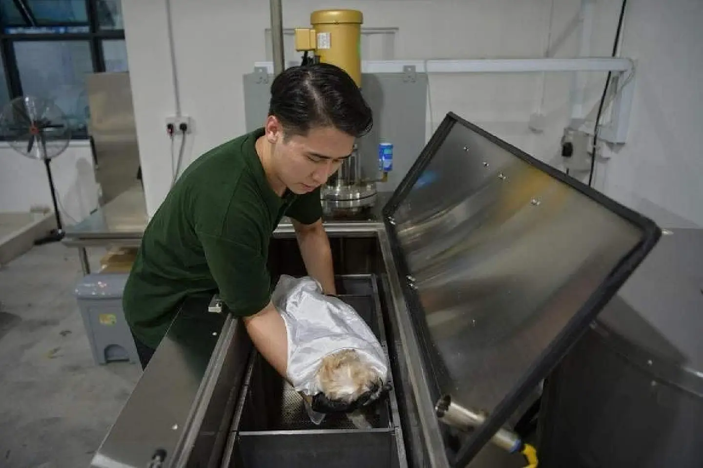 No fire please: New water cremation for pets gaining popularity in Singapore No fire please: New water cremation for pets gaining popularity in Singapore