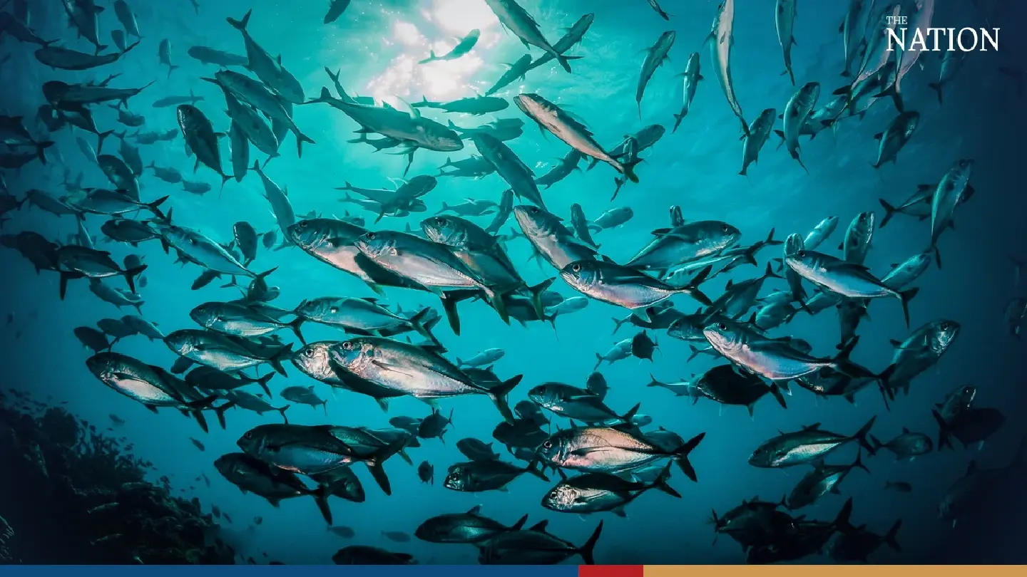 Pet food made with tuna to create added value