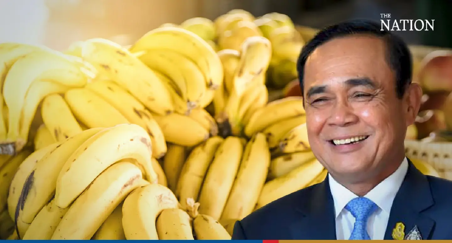Thailand striving to boost banana exports to Japan amid high demand Thailand striving to boost banana exports to Japan amid high demand