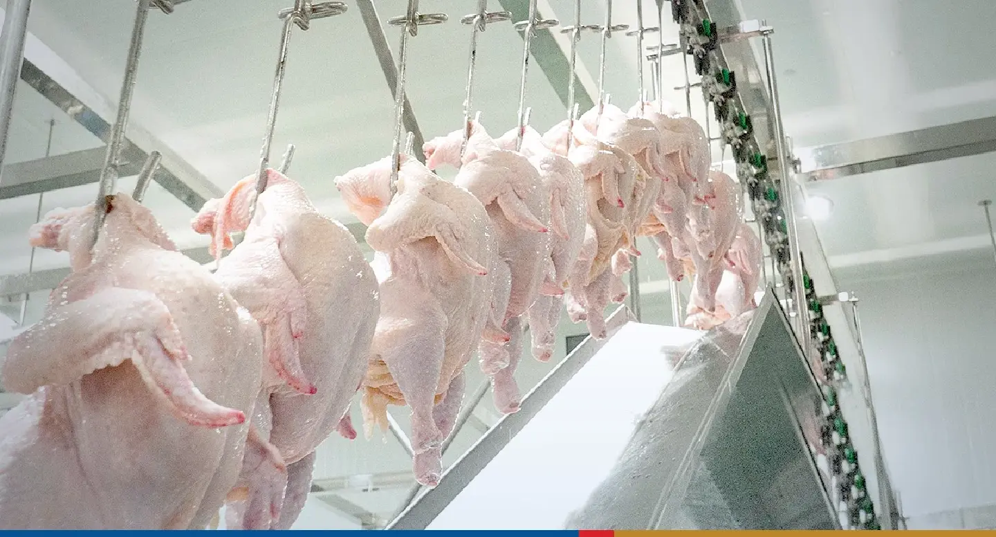 Exports of Thai livestock products to Malaysia are expected to rise Exports of Thai livestock products to Malaysia are expected to rise