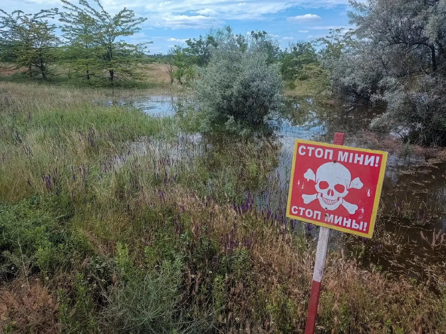 Mines uprooted in Ukraine dam disaster could pose danger for years - Red Cross Mines uprooted in Ukraine dam disaster could pose danger for years - Red Cross