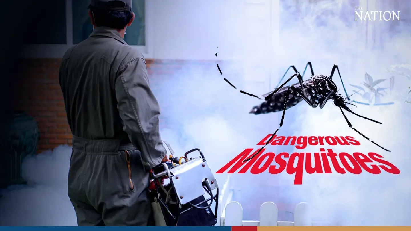 Dengue situation could worsen this year, Disease Control Dept fears