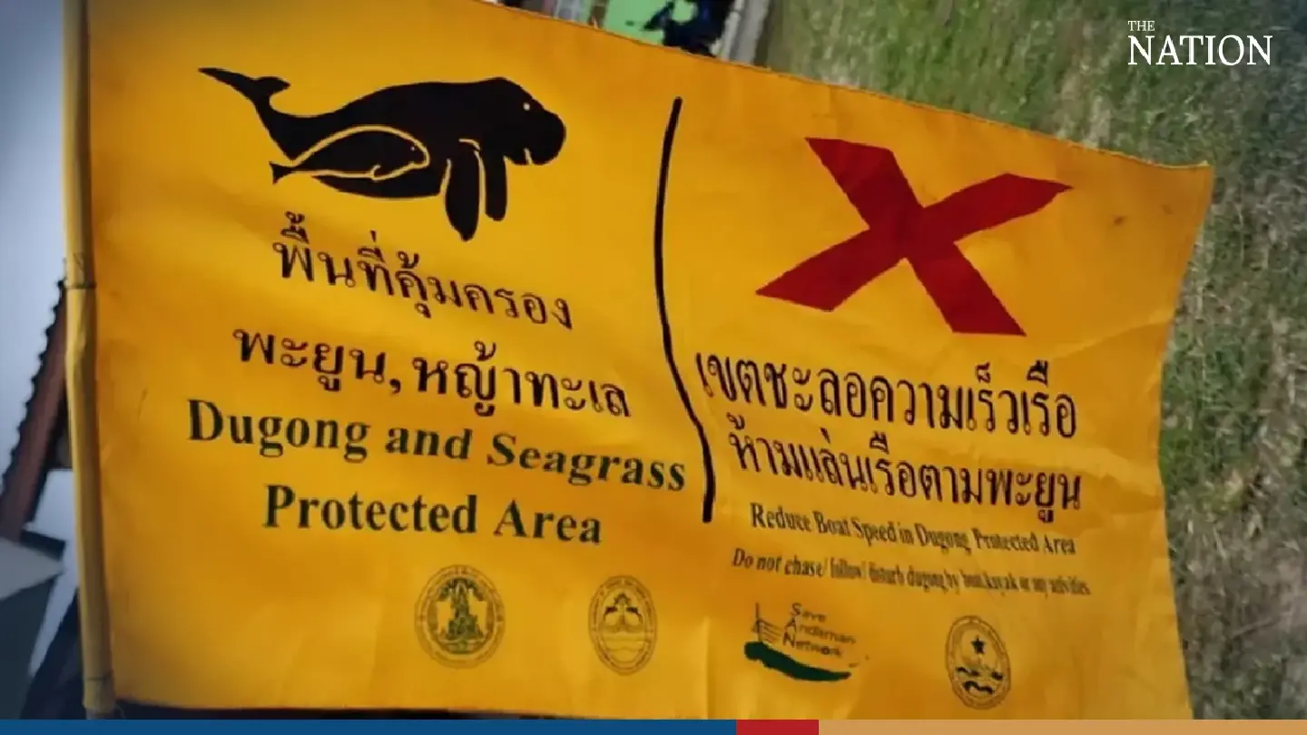 As tourists flock to Trang’s island, officials create protected area for dugongs
