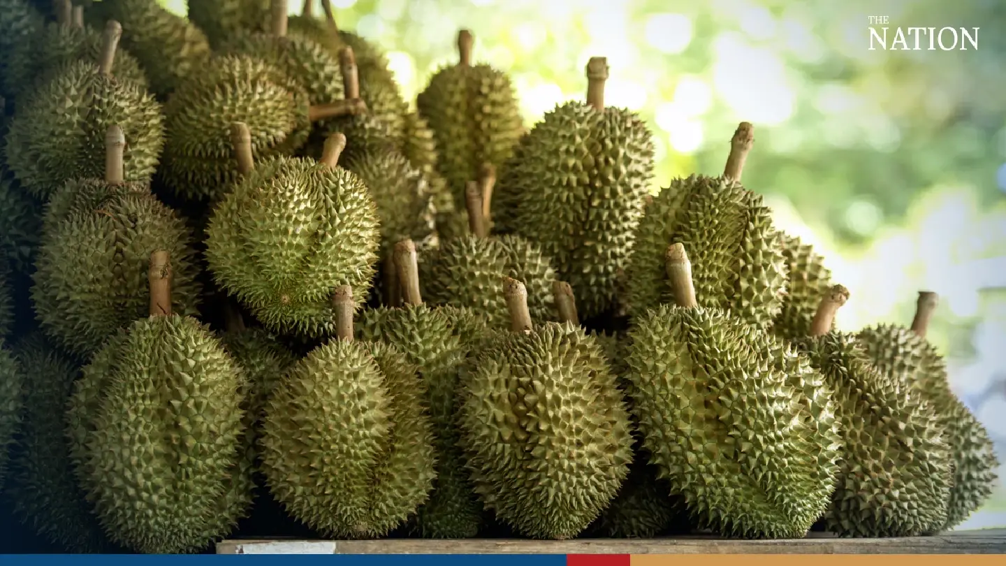 Durian exporters head south to meet demand for the fruit in China
