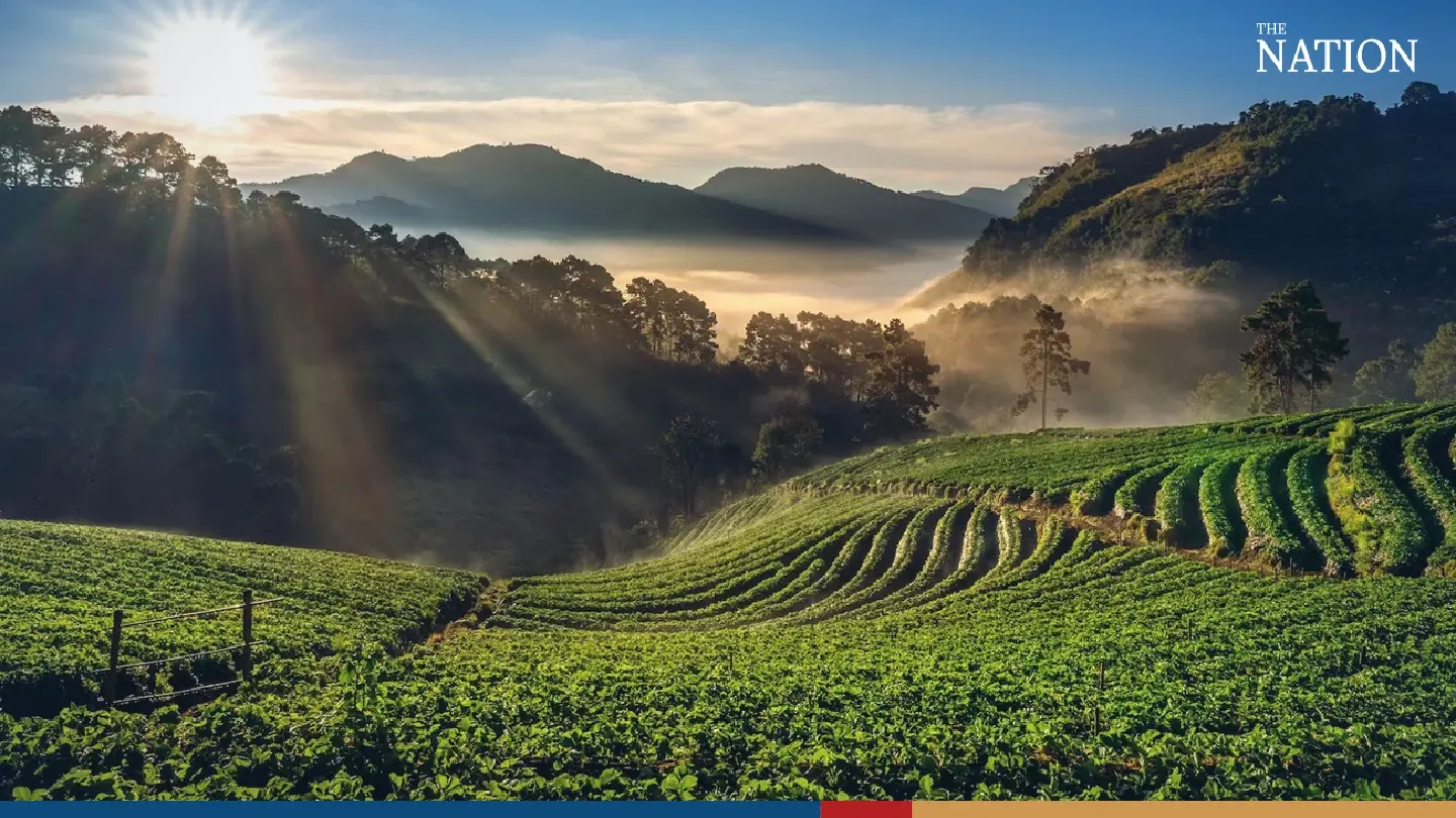 North of Thailand showcased as global MICE destination for tea, coffee North of Thailand showcased as global MICE destination for tea, coffee