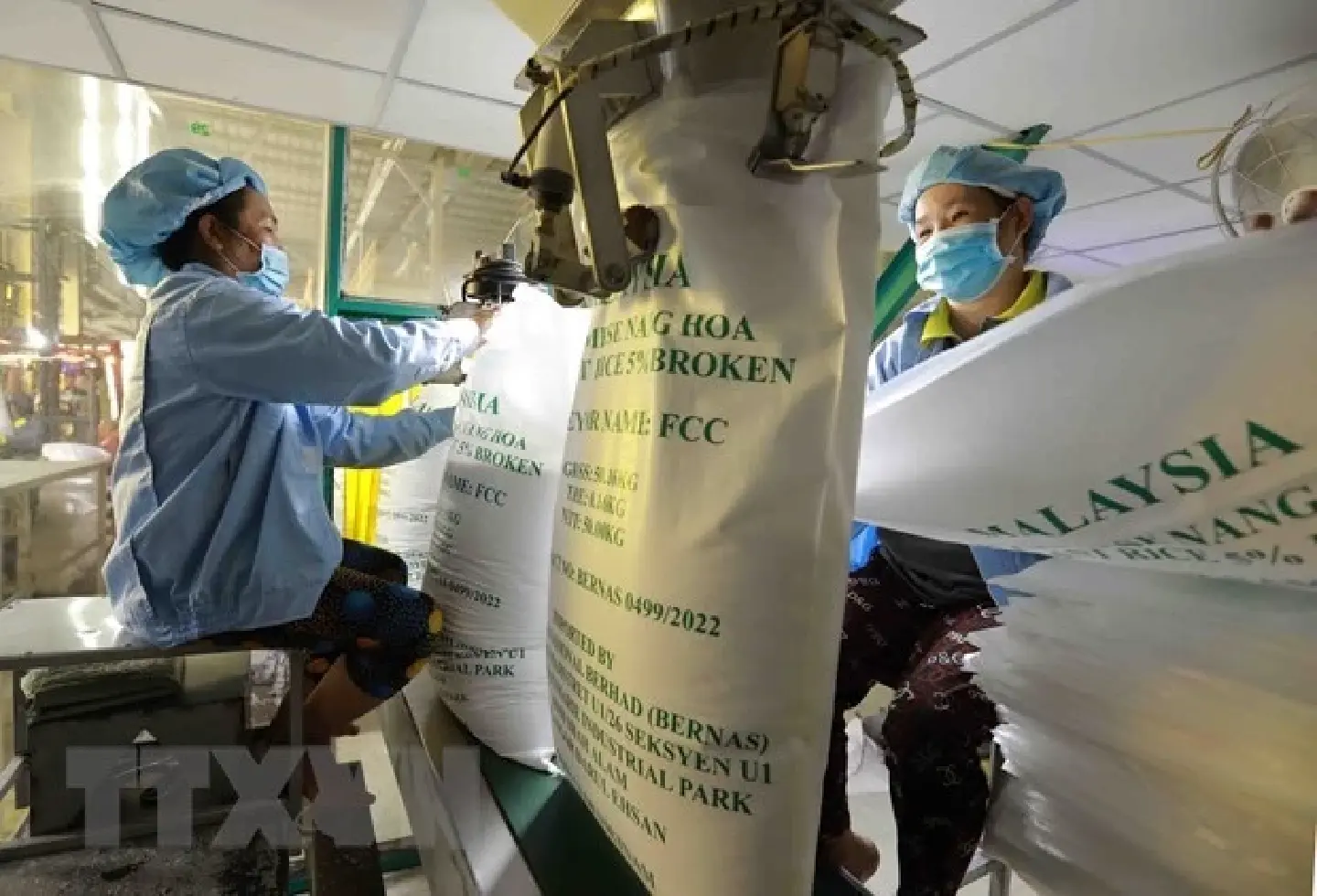 Vietnam sees prospects to increase rice exports in H2 Vietnam sees prospects to increase rice exports in H2