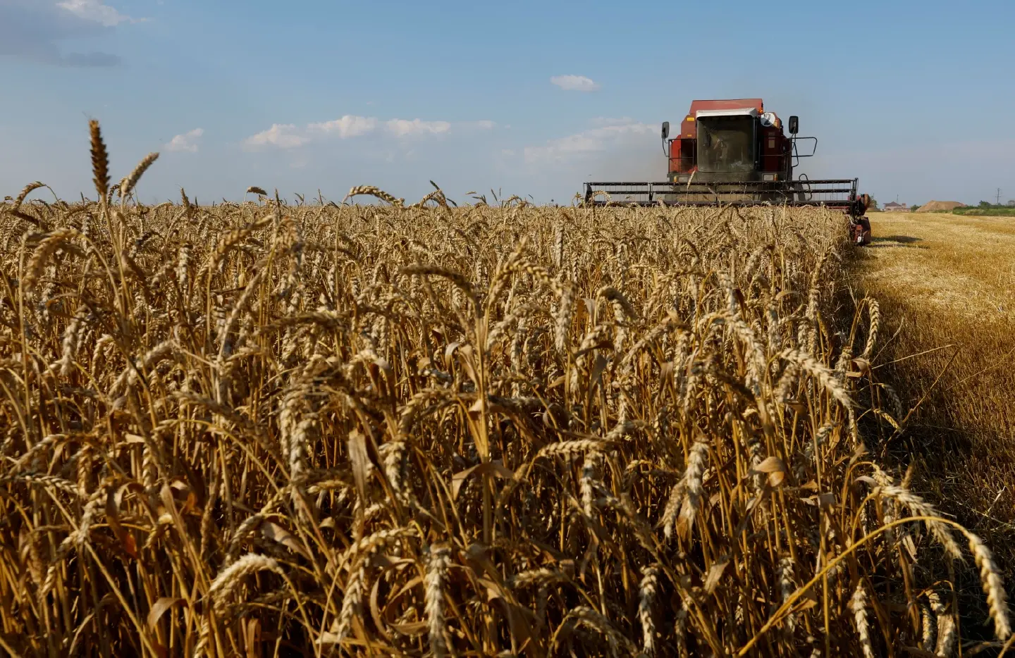 Russia halts participation in Black Sea grain deal, Kremlin says