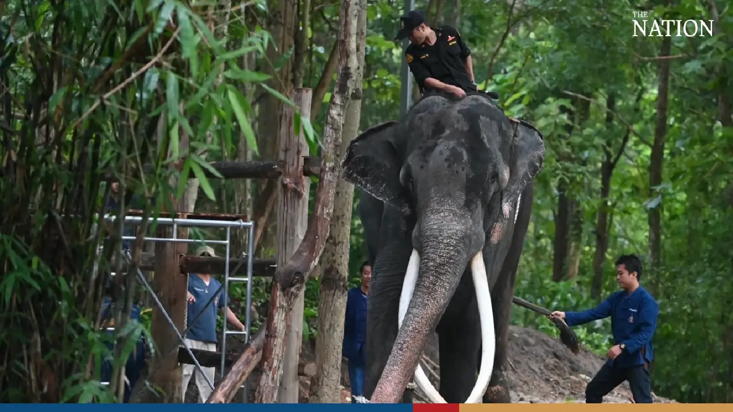 A brief history of Thailand’s ‘elephant diplomacy’