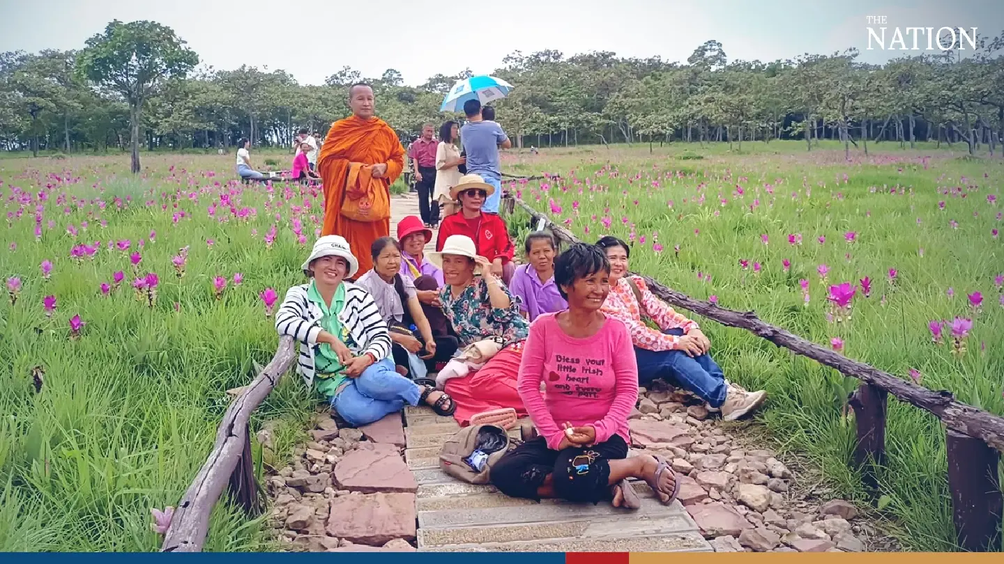 Petal power: Tourism blossoms in national park as Siam tulips bloom