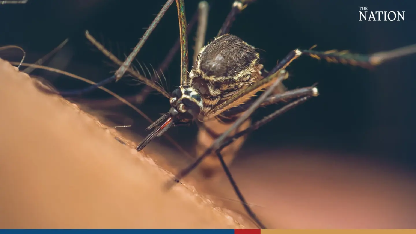 Govt urges extra vigilance, swift treatment as malaria cases rise Govt urges extra vigilance, swift treatment as malaria cases rise