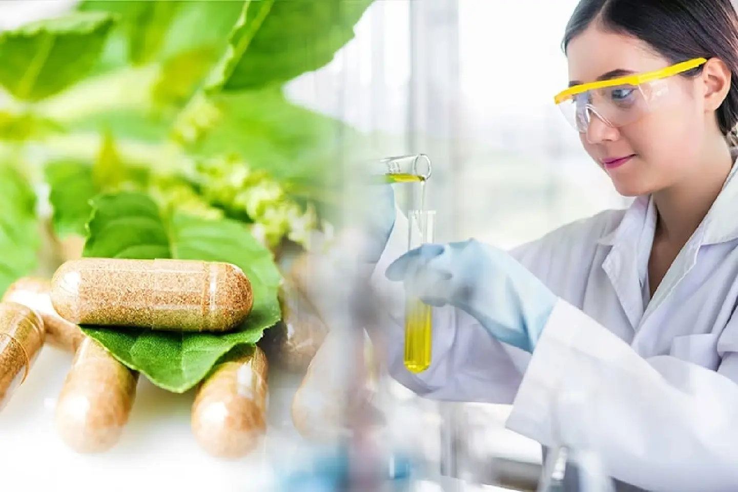 Chula presents Plant-based Biopharmaceutical Research to combat cancer cells 