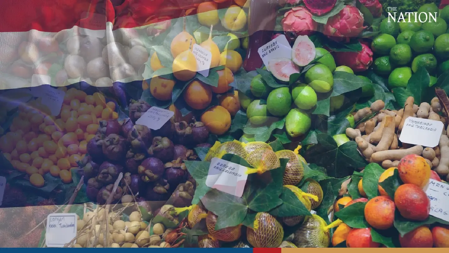 Outgoing govt lauds its success in fruit exports to China last year Outgoing govt lauds its success in fruit exports to China last year