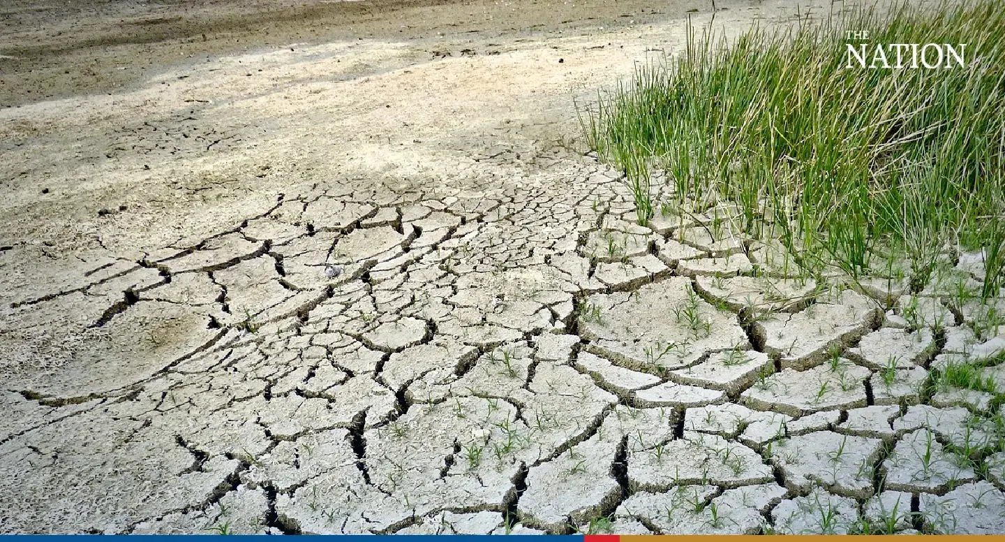 How prolonged El Niño will affect Thai agricultural, aquatic, and fruit exports