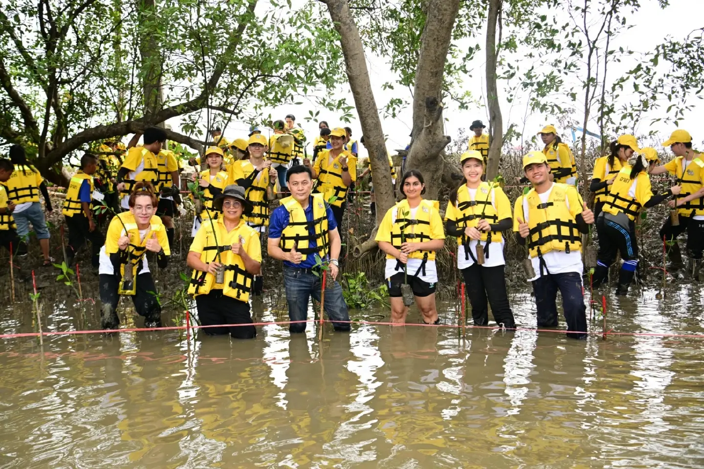 BIMS and SINGHA R-SA network preserve the eastern mangrove forests BIMS and SINGHA R-SA network preserve the eastern mangrove forests