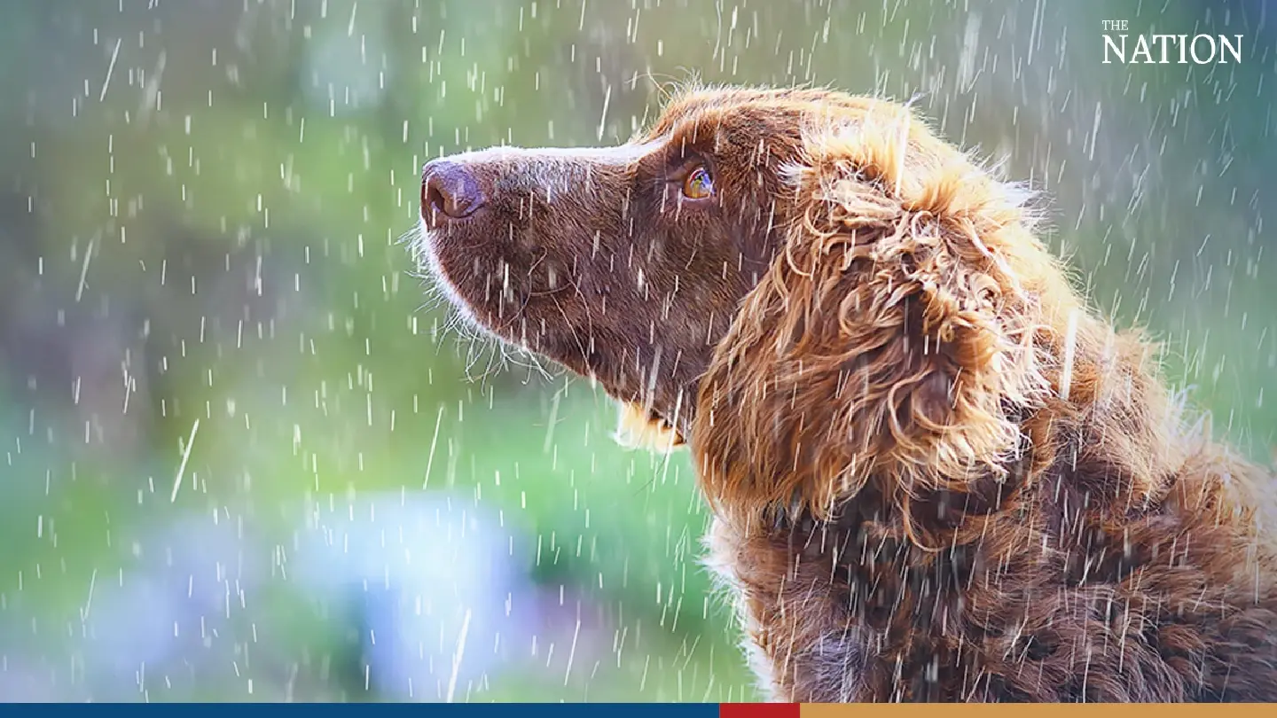 Weather: heavy rain warning for 42 provinces Weather: heavy rain warning for 42 provinces
