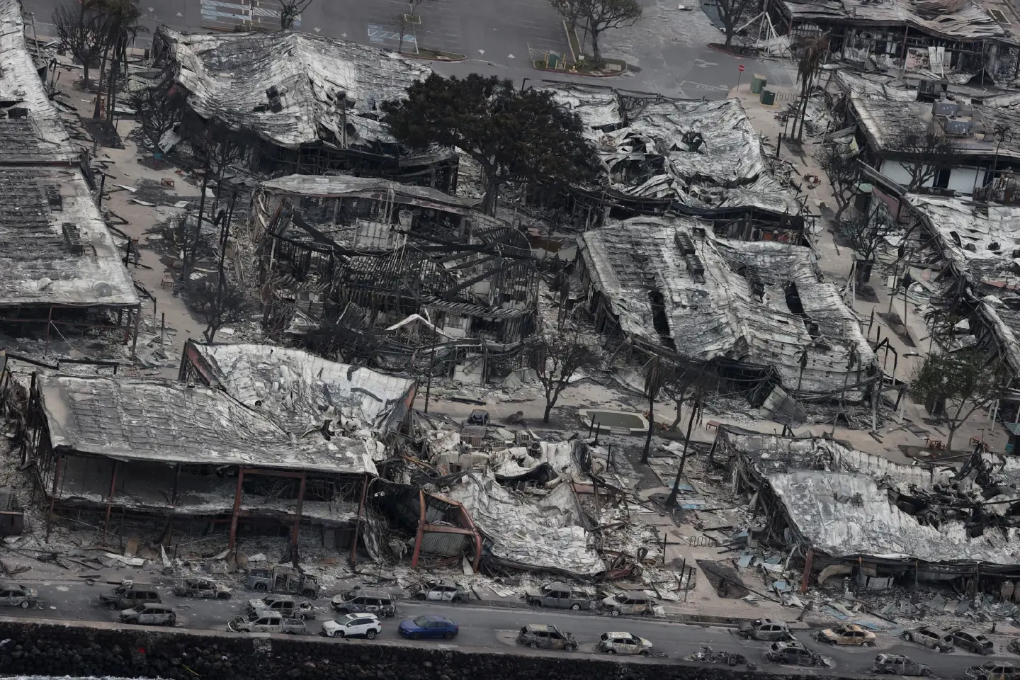 53 people have died from the Hawaii wildfires, historic Lahaina has burned down 53 people have died from the Hawaii wildfires, historic Lahaina has burned down
