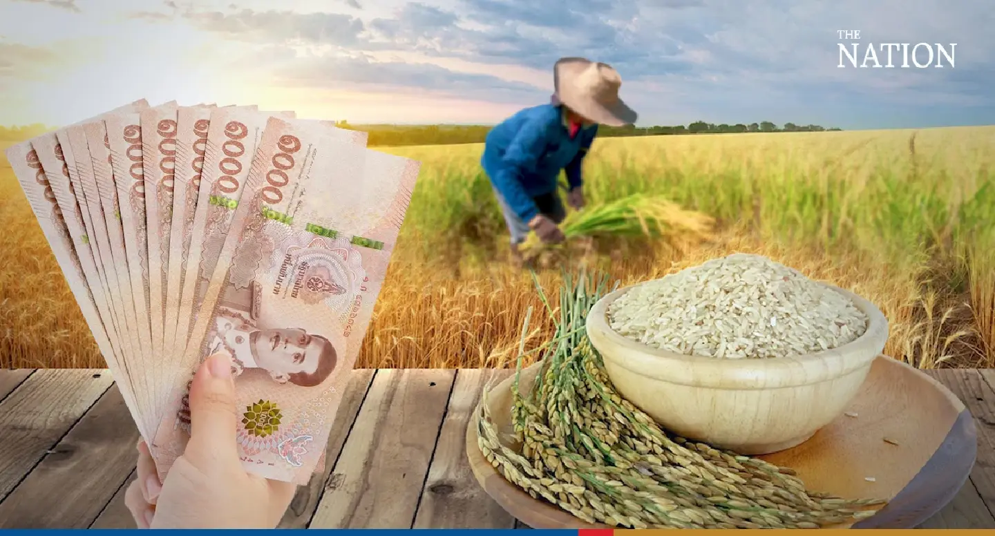 Thai rice price surges on India, Myanmar export bans Thai rice price surges on India, Myanmar export bans