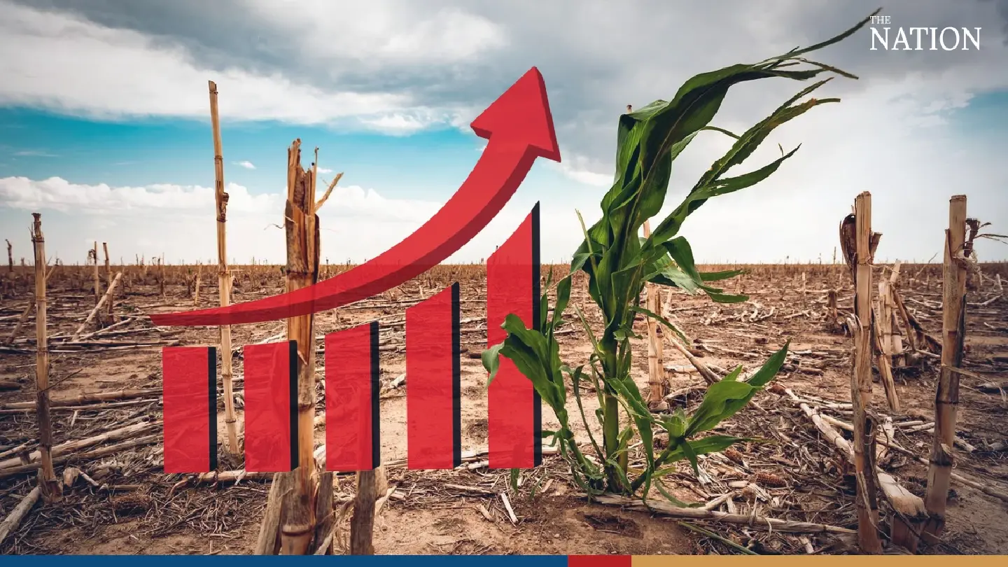 Economists warns of food price hikes triggered by drought Economists warns of food price hikes triggered by drought