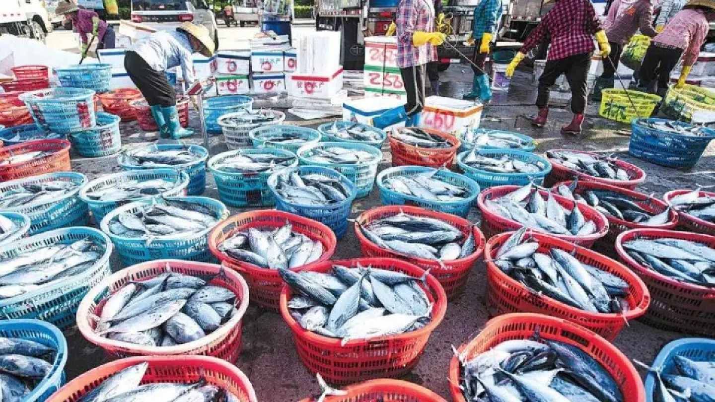 China’s domestic seafood sales surge amid safety concerns