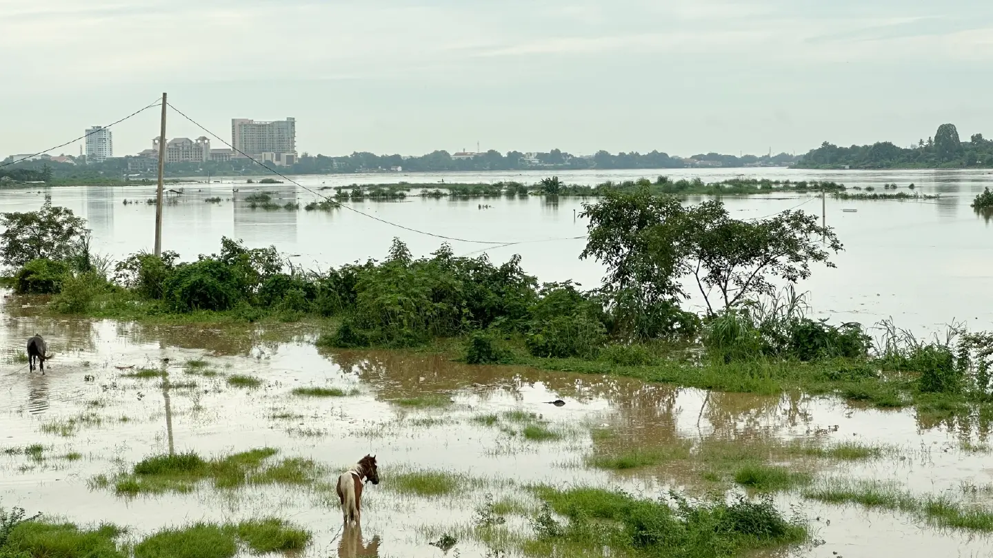 Mekong River water levels are on the rise