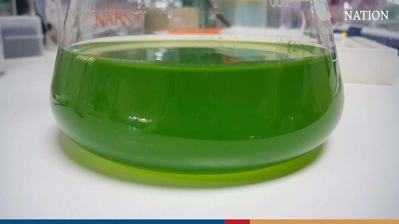 “AquaJade”, an innovative applications of Green Microalgae to combat diseases
