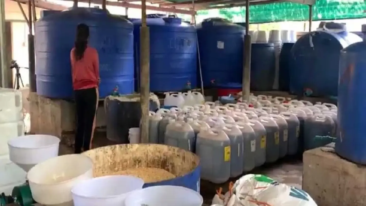 From waste to wealth: Cambodian compost mogul turns trash to treasure