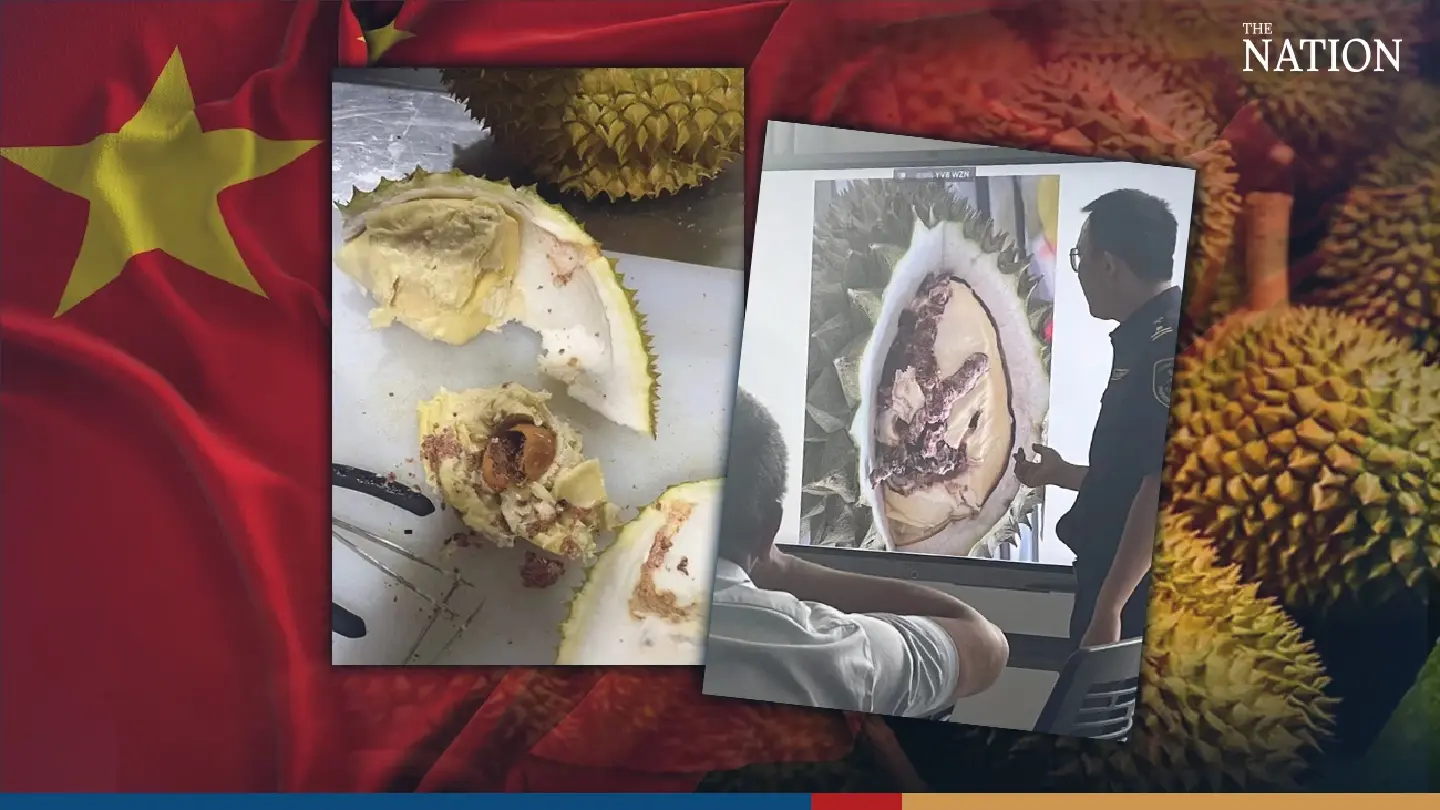 Worms put Chumphon durians at risk of export ban