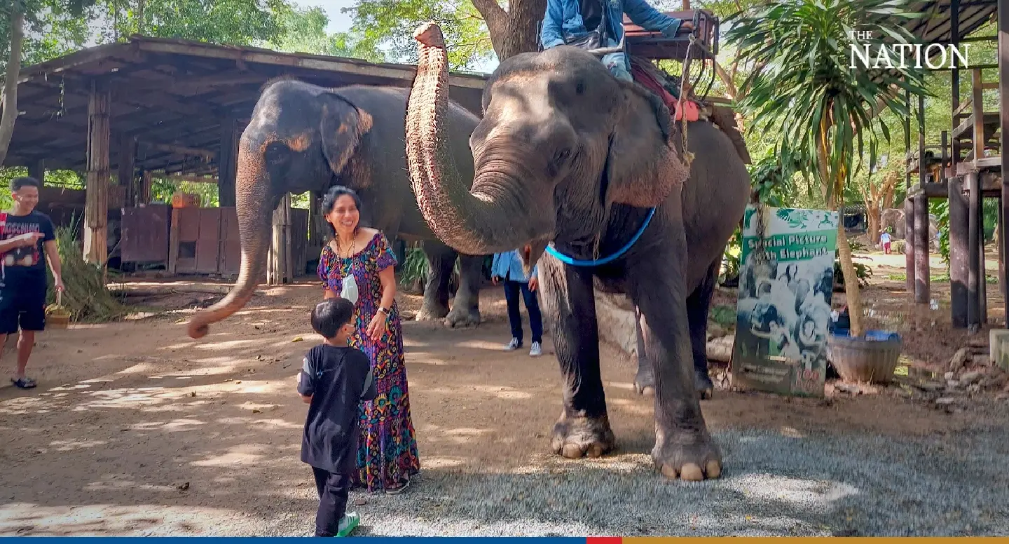 Klook draws a line under animal attractions Klook draws a line under animal attractions
