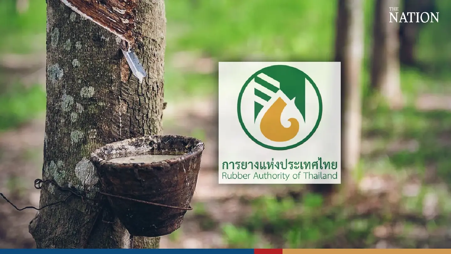 Thai rubber association ready for EU regulatory bounce Thai rubber association ready for EU regulatory bounce
