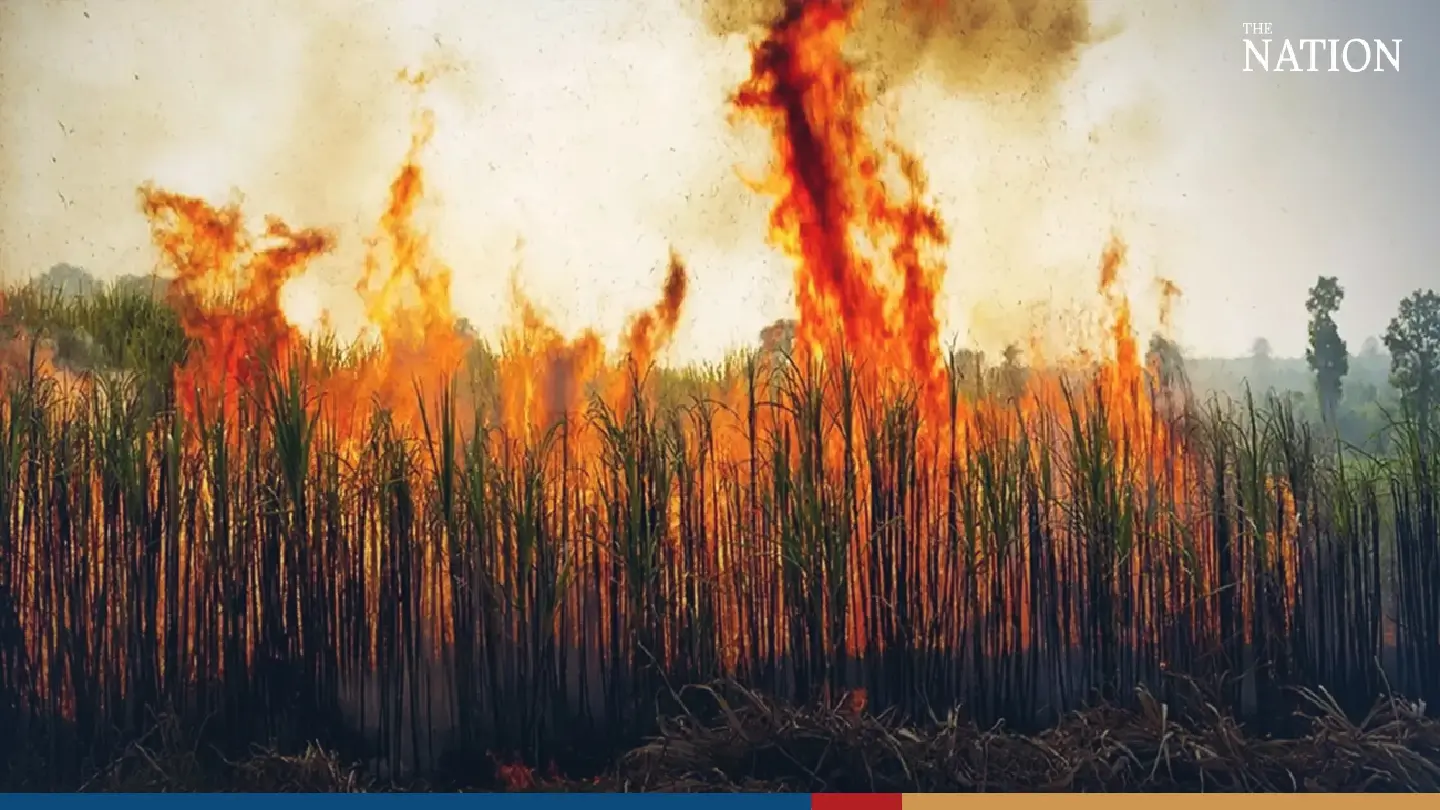 Crop burning shortening average life expectancy