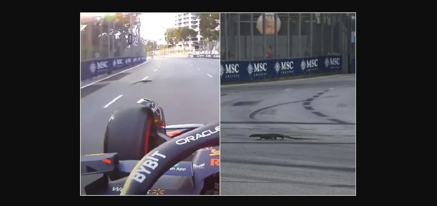 Rogue monitor lizards interrupt Singapore Grand Prix practice session