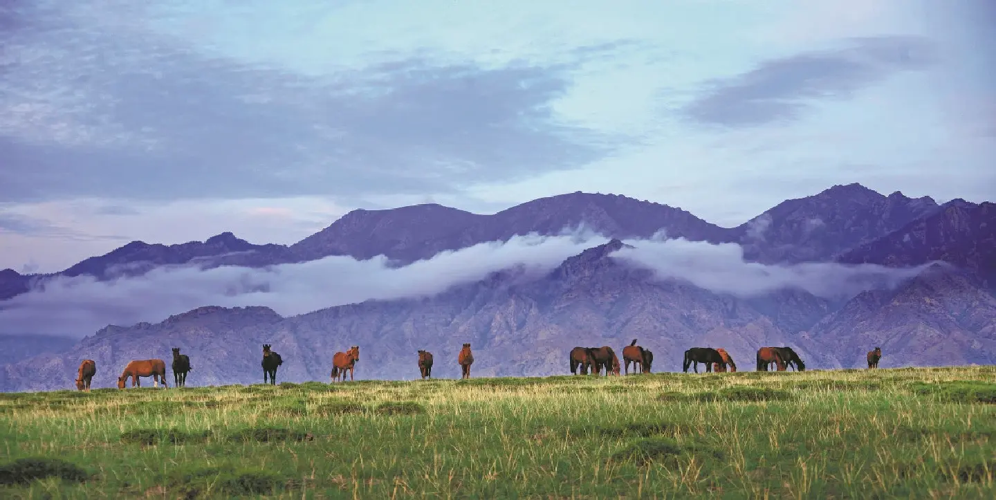 'Cloud planting' projects in China stop deserts from merging 'Cloud planting' projects in China stop deserts from merging