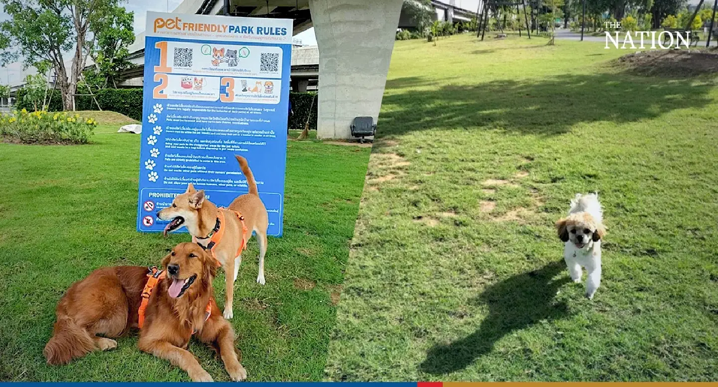 Public park in Thawee Watthana welcomes pets Public park in Thawee Watthana welcomes pets