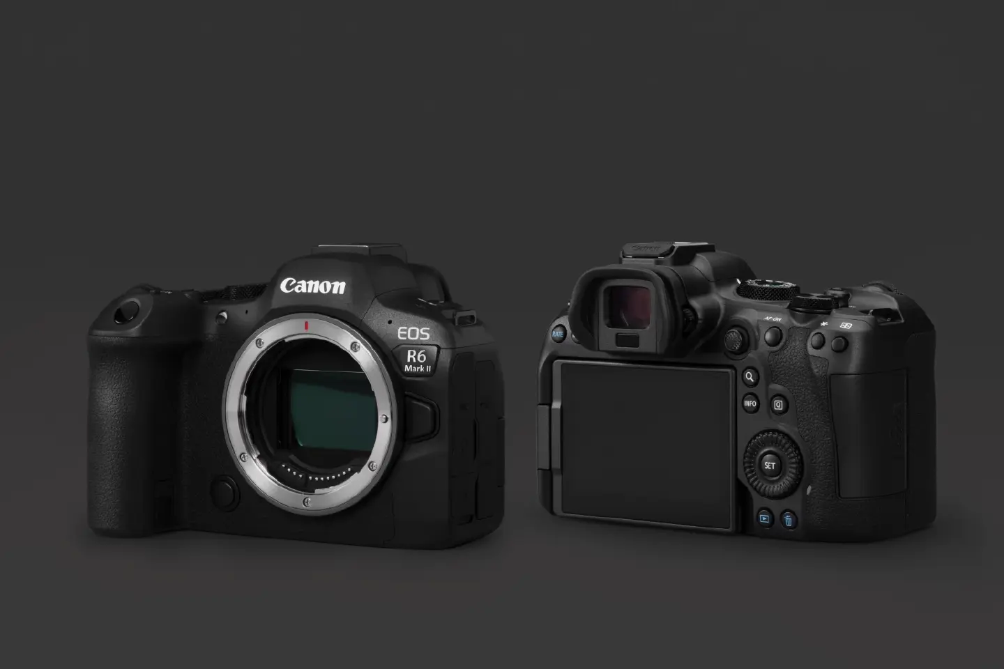 Canon EOS R6 Mark II: A new full-frame mirrorless perfection for both videos and photographs
