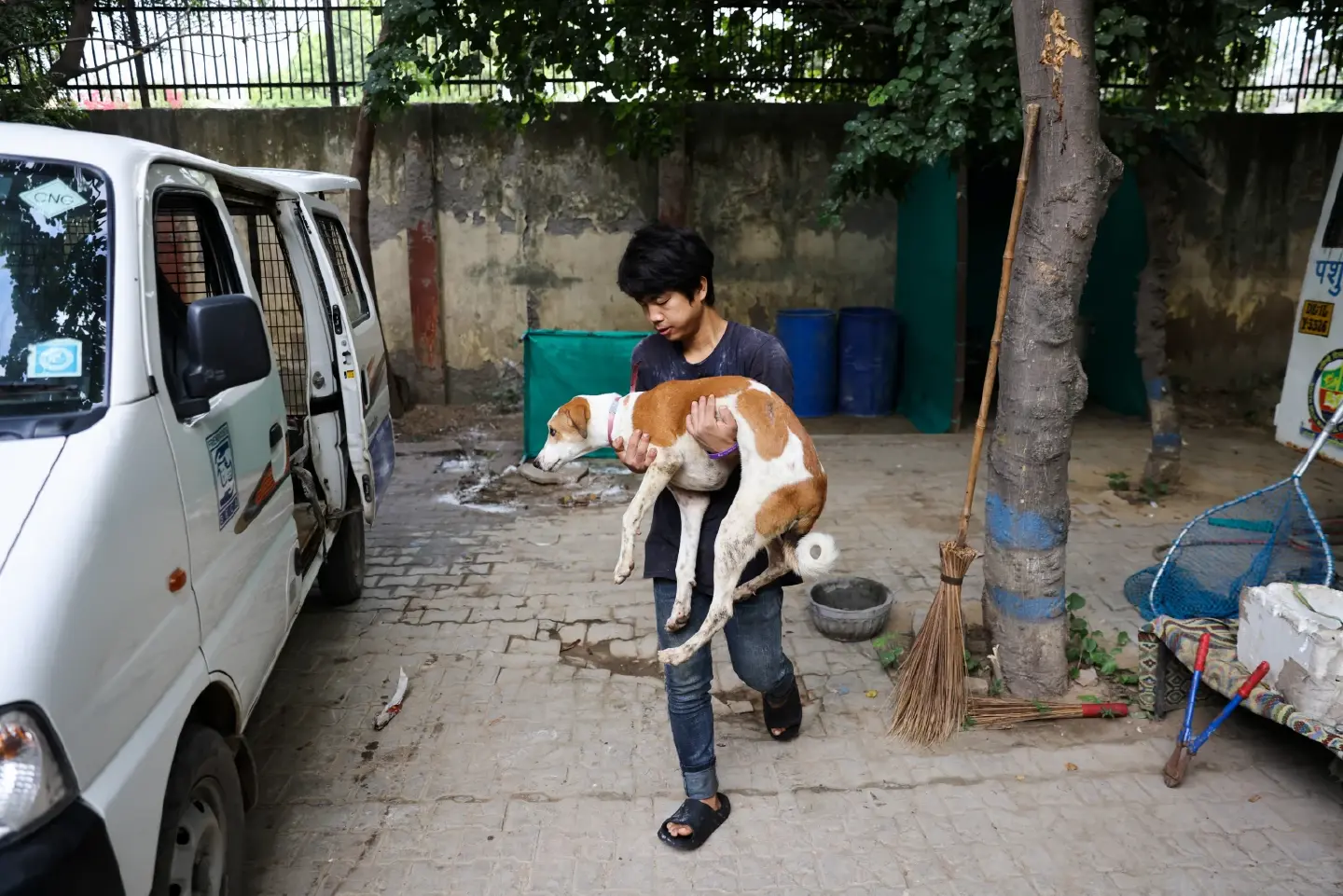 After slums and monkeys, Delhi removes stray dogs as G-20 summit nears
