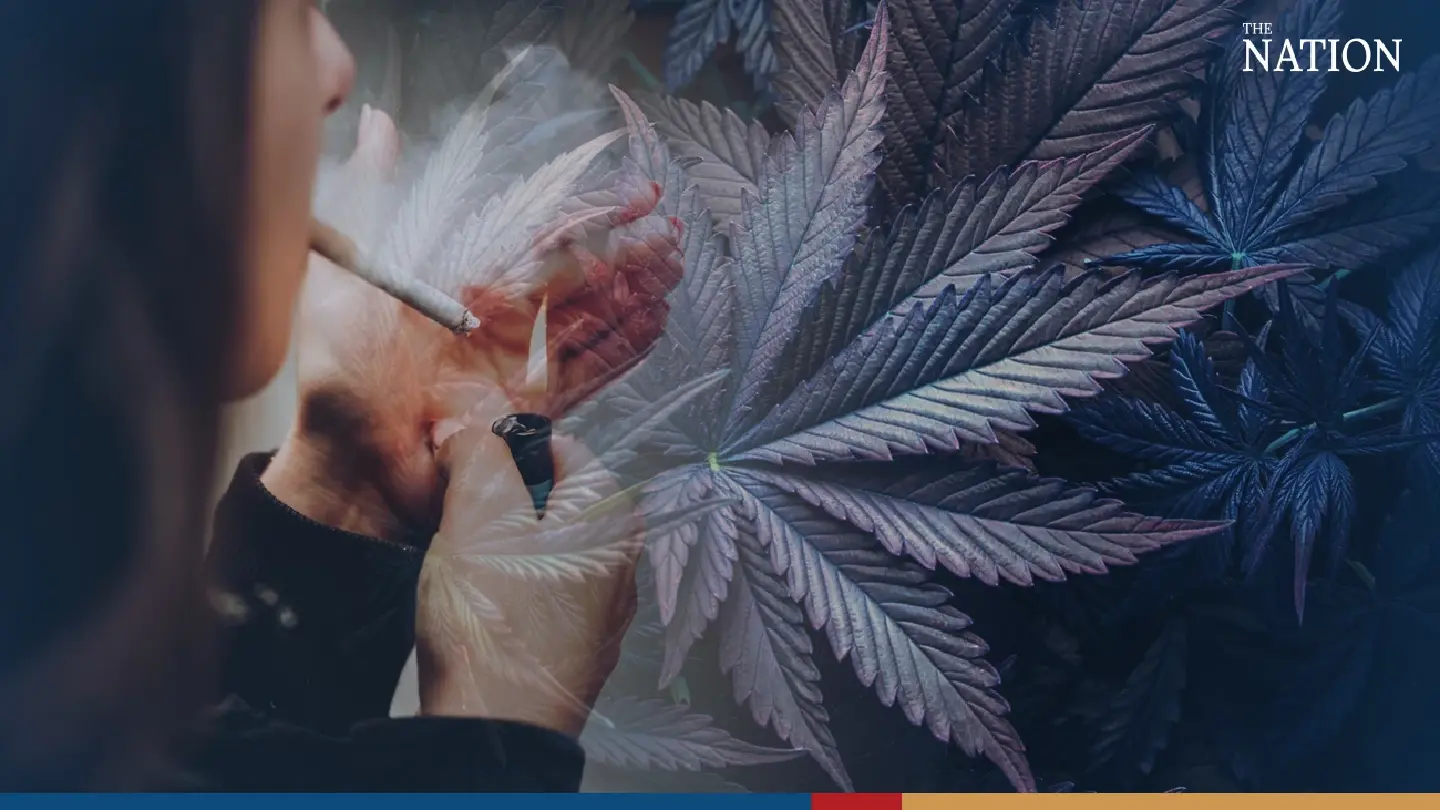 Marijuana must be used for true medical purposes, says Thai health minister